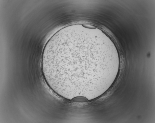 X0000115600860200912081112