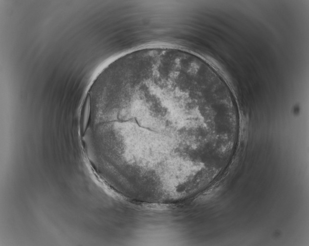 X0000115600862200912081112