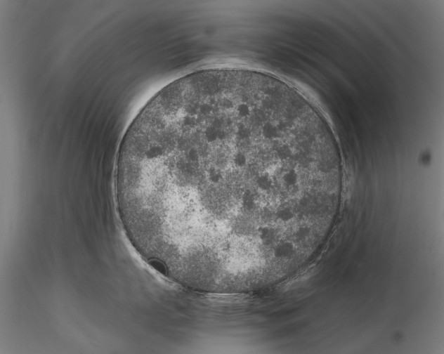 X0000115600863200912081112