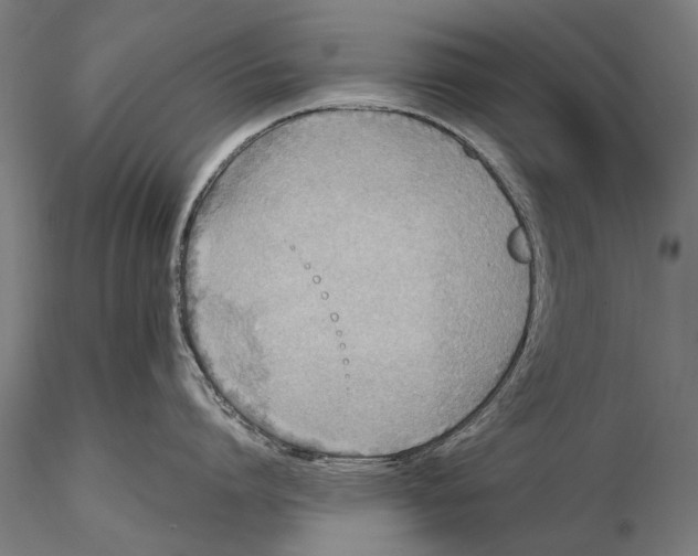 X0000115600864200912081112