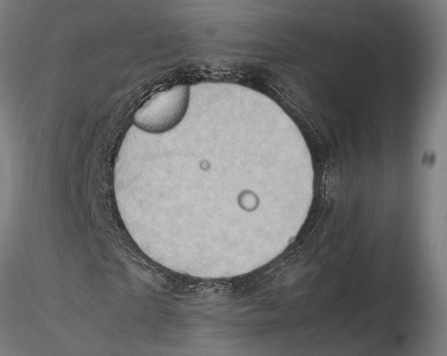 X0000115600865200912081111