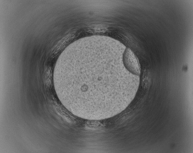 X0000115600866200912081111