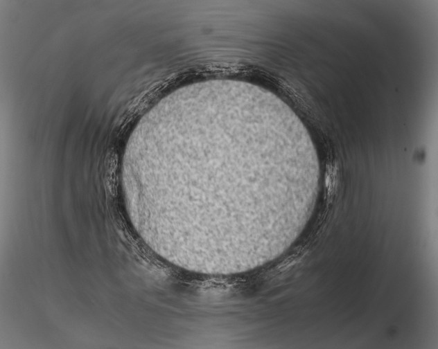 X0000115600867200912081111