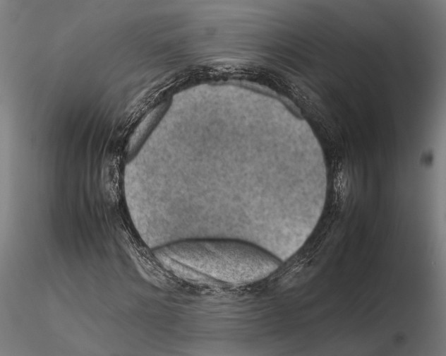 X0000115600868200912081111