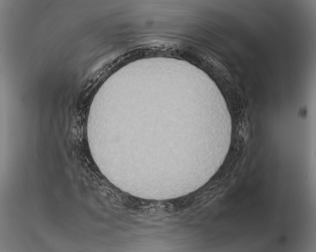 X0000115600869200912081111