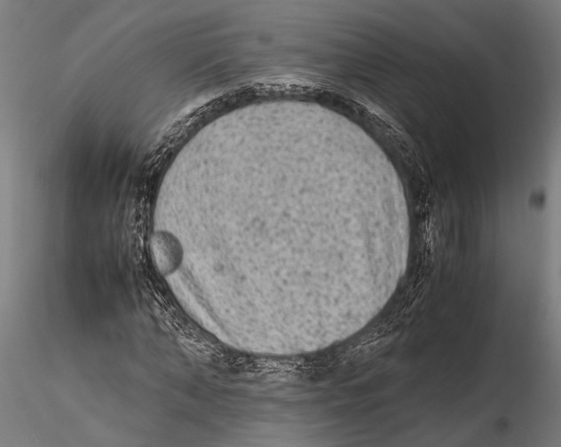 X0000115600870200912081111