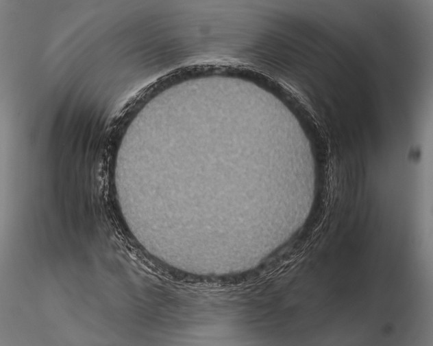 X0000115600872200912081111