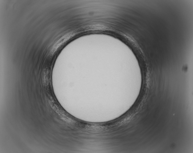 X0000115600873200912081111