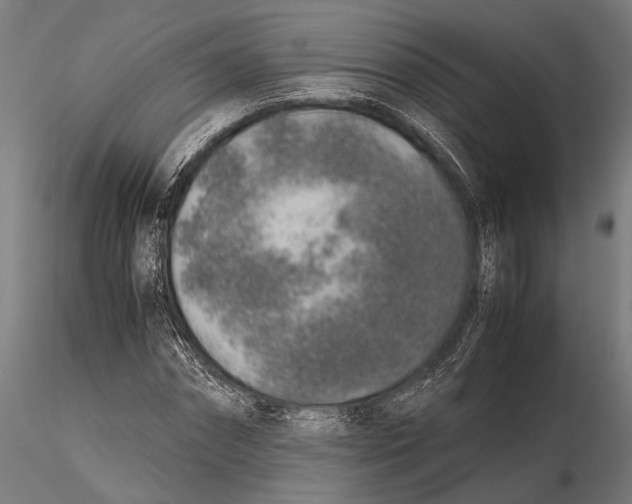 X0000115600874200912081111