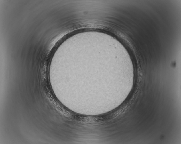 X0000115600875200912081111