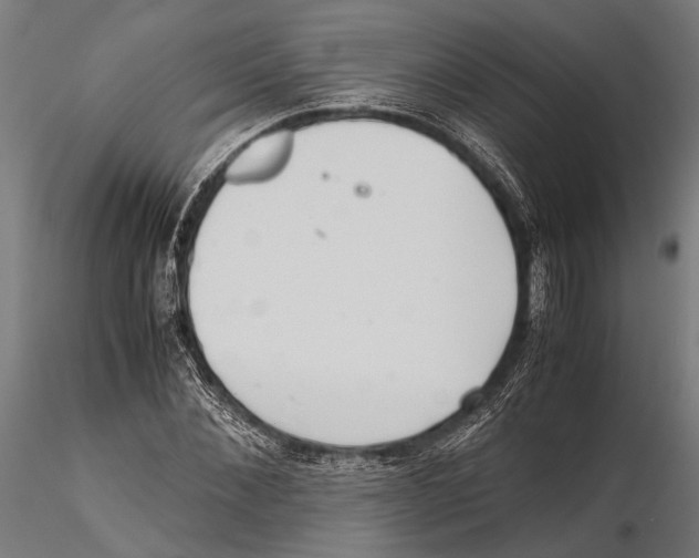 X0000115600876200912081111