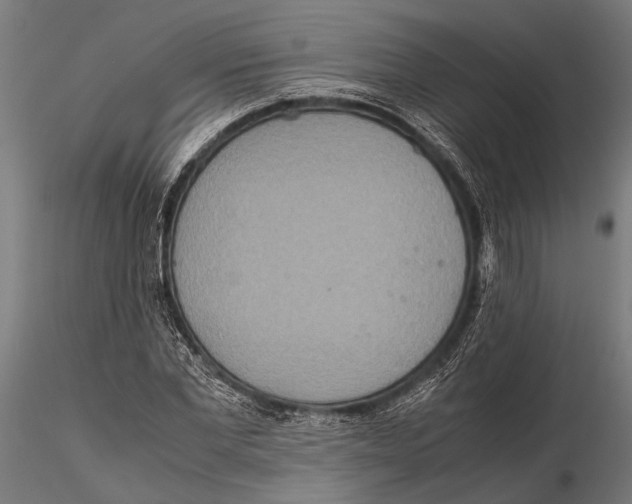 X0000115600877200912081111