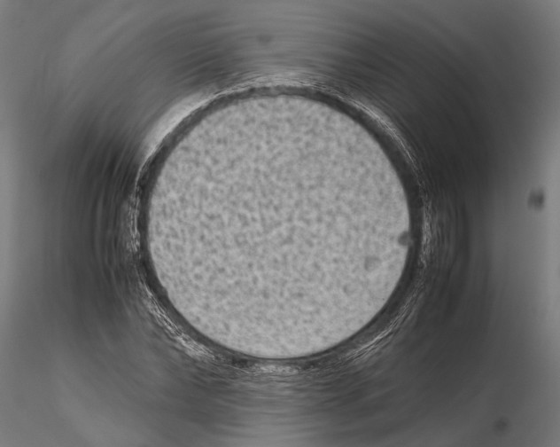 X0000115600878200912081111