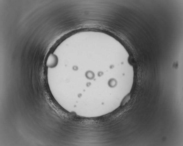 X0000115600880200912081111