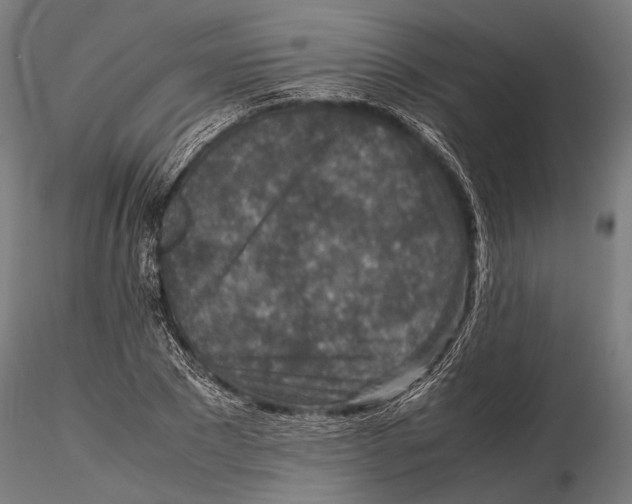 X0000115600881200912081111