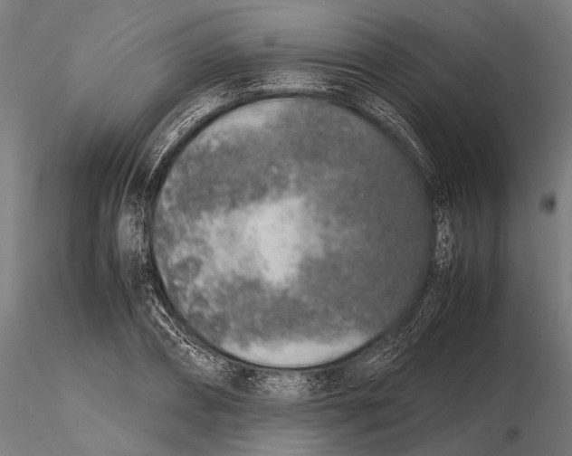 X0000115600882200912081111