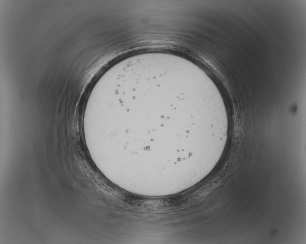 X0000115600883200912081111