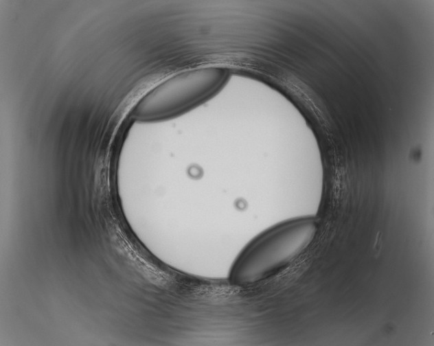 X0000115600884200912081111