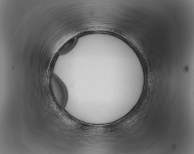 X0000115600885200912081111