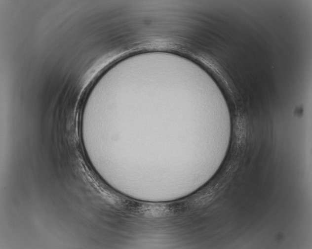 X0000115600886200912081111