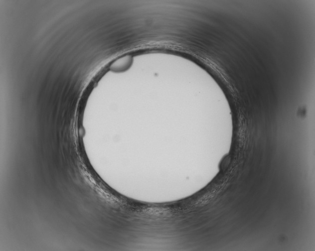 X0000115600888200912081111