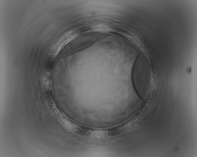 X0000115600889200912081111