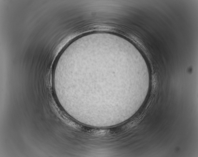 X0000115600891200912081111