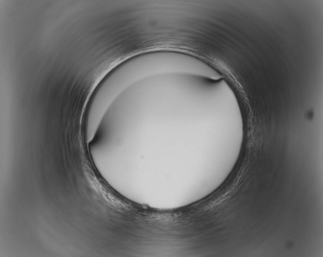 X0000115600892200912081111