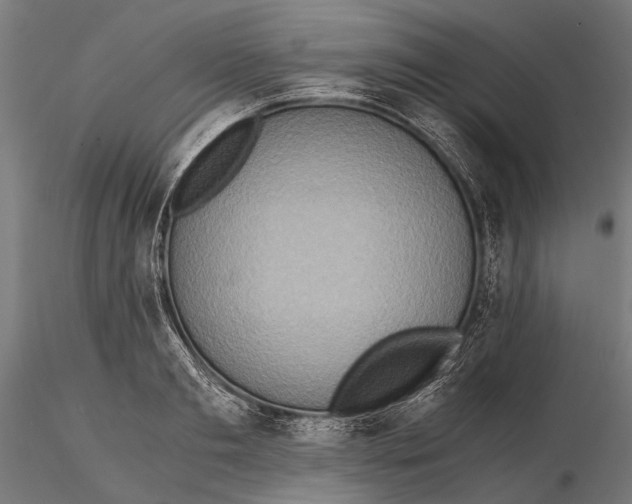 X0000115600893200912081111