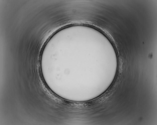 X0000115600895200912081111