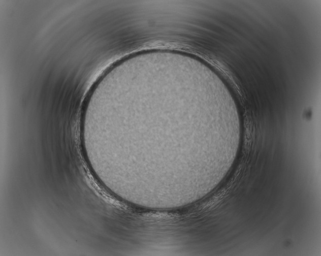 X0000115600896200912081111