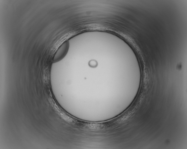 X0000115600897200912081111