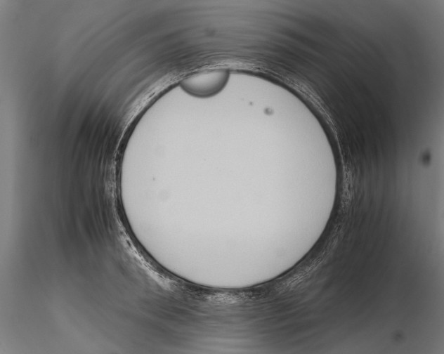 X0000115600898200912081111