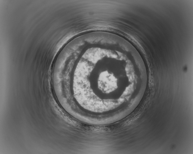 X0000115600899200912081111