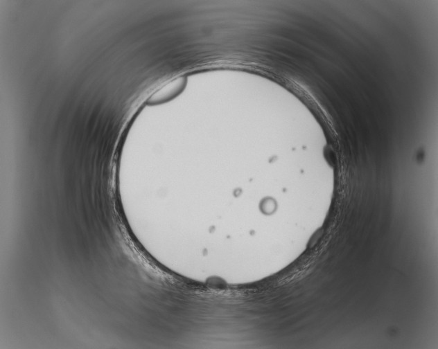 X0000115600900200912081111