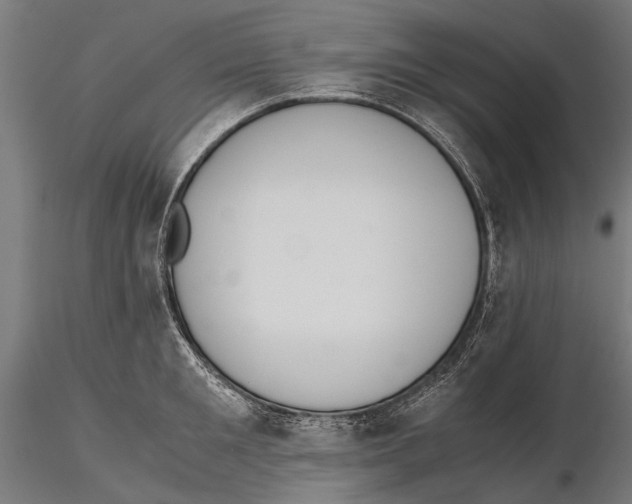 X0000115600901200912081111