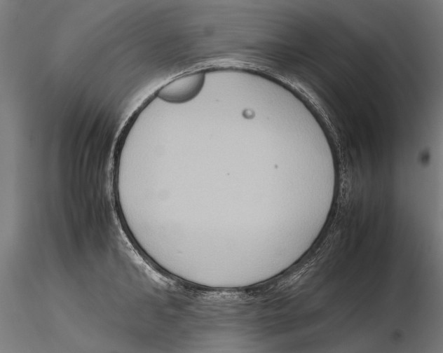 X0000115600902200912081110