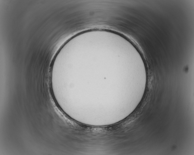 X0000115600903200912081110