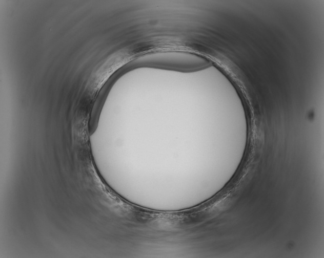 X0000115600905200912081110