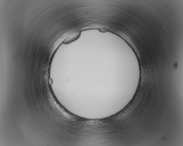 X0000115600906200912081110