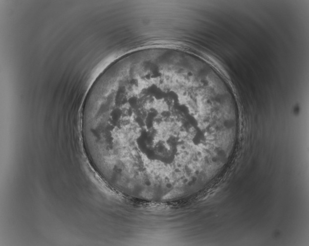 X0000115600907200912081110