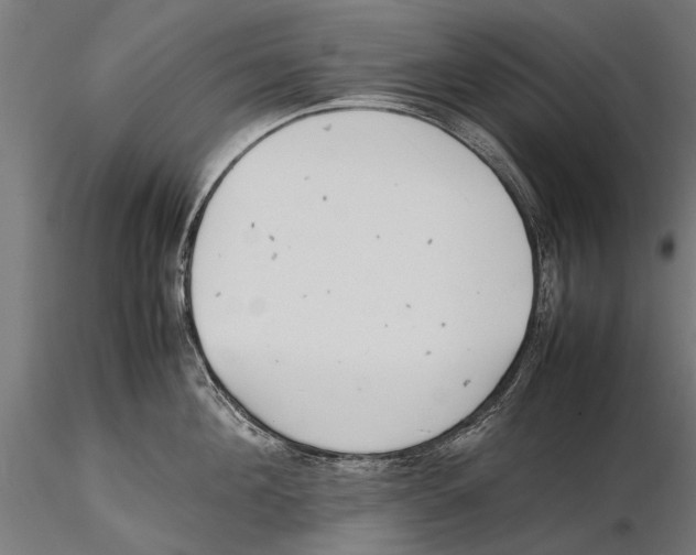 X0000115600908200912081110