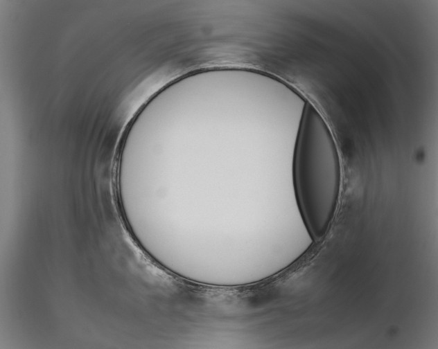 X0000115600909200912081110