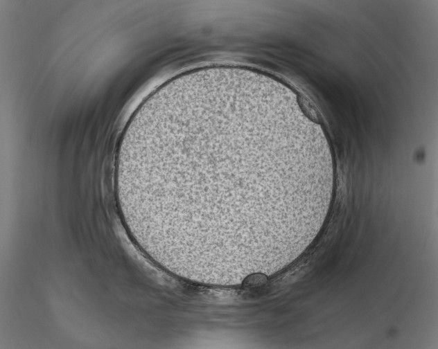 X0000115600911200912081110