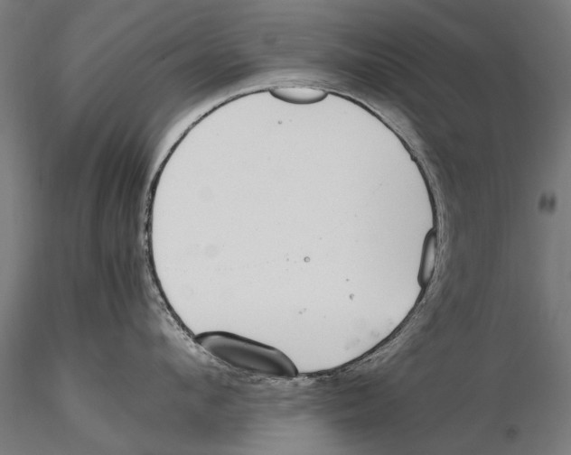 X0000115600912200912081110