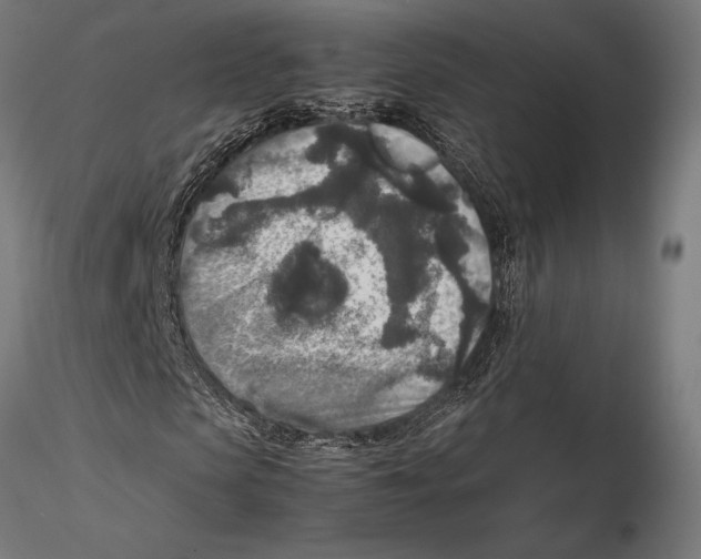 X0000115600913200912081110