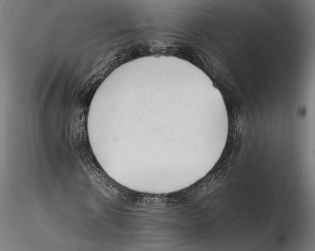 X0000115600914200912081110