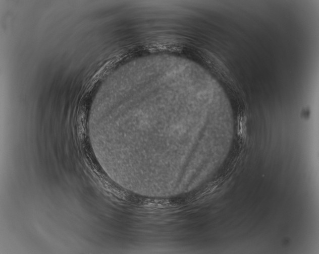 X0000115600915200912081110