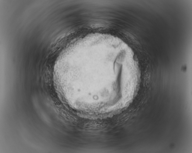 X0000115600917200912081110