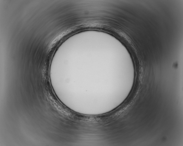 X0000115600922200912081110